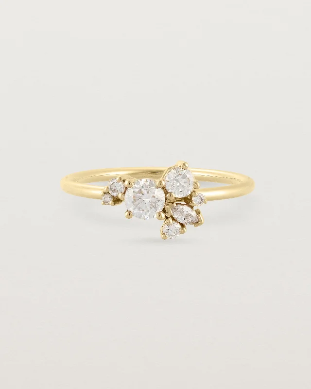 Skye Cluster Ring | Diamonds